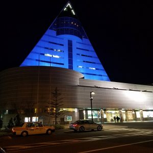 パープルライトアップキャンペーン
